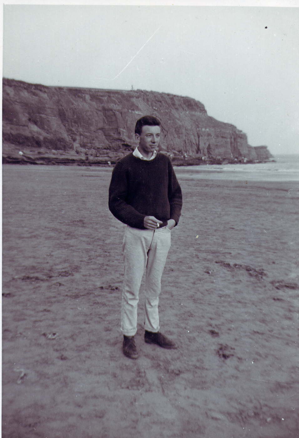 steve